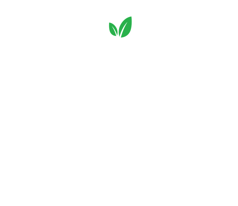 Logo PT&I